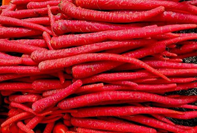 KANAYA Carrot / Gajar Seed(90 per packet)