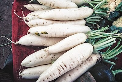 Aywal White Radish (Mooli Ke Beej) Seed(800 per packet)