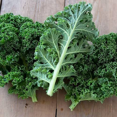 WILLVINE GOI -V Blue Curled Vates Kale Seeds [1g] Seed(300 per packet)
