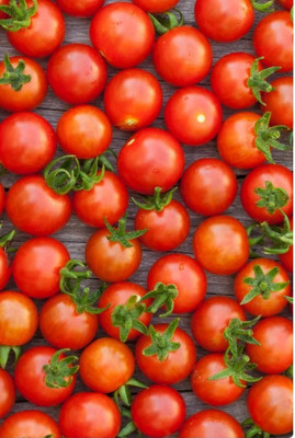 Quentova Large Red Cherry Tomato 5gm Seeds Seed(2000 per packet)