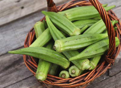 LPR LADY FINGER, (BINDI) Seed(50 per packet)