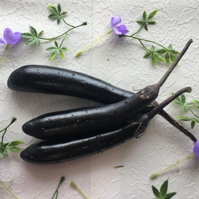 Aywal Aubergine Italian Violet Brinjal Seed(30 g)