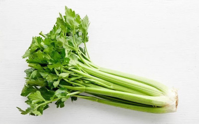 ENTENT Organic Green Celery Vegetable Seed(120 per packet)