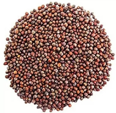 MAA Broccoli Seed(37 per packet)