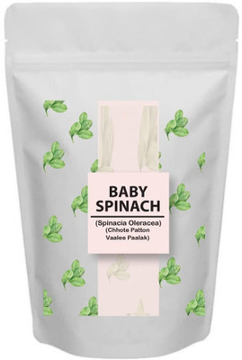 Qualtivate LX-723 Baby Spinach Seeds Seed(500 per packet)