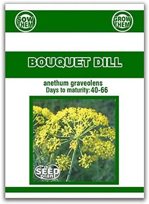 VibeX NBIR-59 - Organic Dill (Bouquet) - (750 Seeds) Seed(750 per packet)