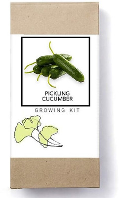 Biosnyg Pickling Cucumber seed Seed(500 per packet)