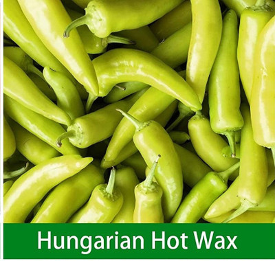 Qualtivate GBPT-4A Hungarian Hot Wax Chilli Seed(300 per packet)