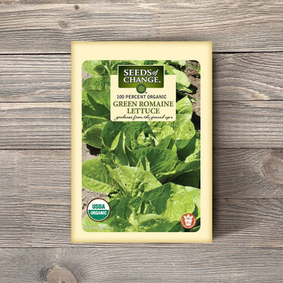 CYBEXIS LXI-39 - Organic Green Romaine Lettuce - (1350 Seeds) Seed(1350 per packet)