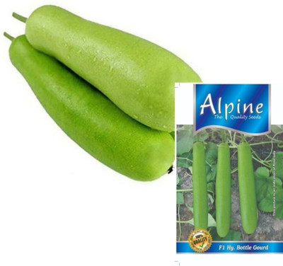 Finiox Bottle Gourd. Seed(50 per packet)