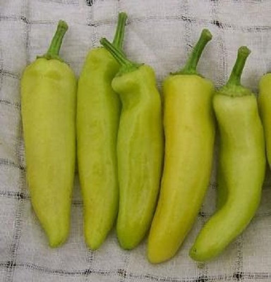 Biosnyg High Germination Hot Banana Pepper Seeds For Kitchen Gardening-(2000 Seeds) Seed(2000 per packet)