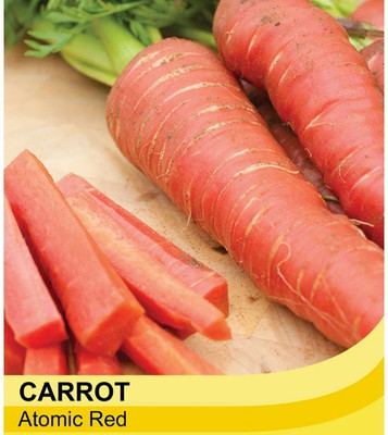 CEZIUS (Gajar beej) Carrot 'Atomic Red'-a9-N Seed(380 per packet)
