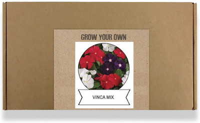 CYBEXIS Vinca Mix Flower Seeds100 Seeds Seed(100 per packet)