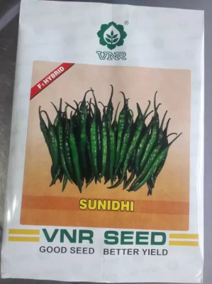 VNR KD Chilli Seed Loose packet Seed(50 per packet)