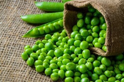 Aywal Hybrid Pea Matar Green Matar Beej Pea Seed(700 per packet)