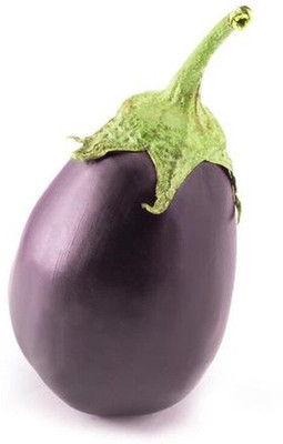 LPR brinjal Seed(50 per packet)