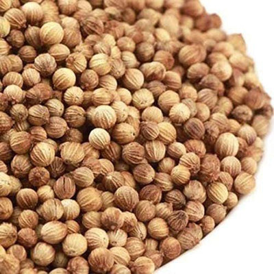 CYBEXIS XLR-91 - Cilantro (Slow Bolt) - (250 Seeds) Seed(250 per packet)