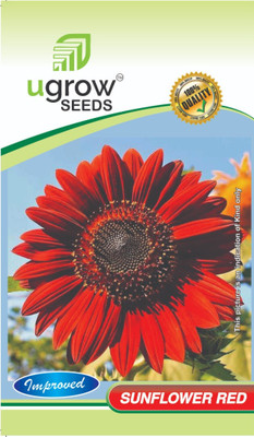 fixeded FL-147-RED-SUNFLOWER Seed(40 per packet)