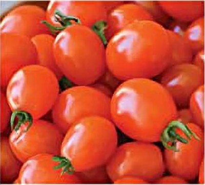 Quentova Napa Grape Tomato 10gm Seeds Seed(4000 per packet)