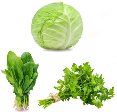 PSAgroinput Palakbhaji (spinach)- Daniya(coriander )-PattaGobhi(Cabbage)pack of 3 Seed(100 g)