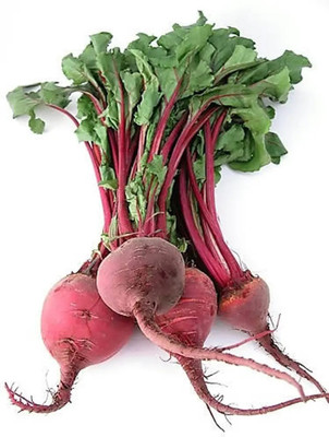 Quentova Organic Beetroot Turnip Egyptian-KWI Seed(200 per packet)