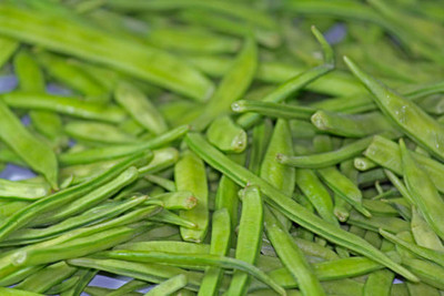 XOLDAA CLUSTER BEANS SEEDS Seed(11 per packet)