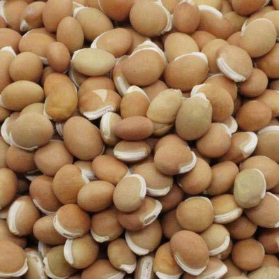 ANDARISTORE Grade A Quality - Dried - Lima/Double Beans - 500 Grams Seed(500 g)