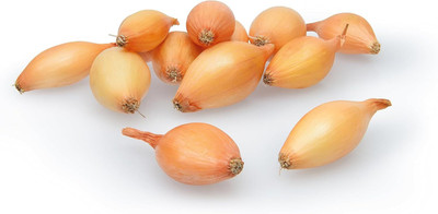 Biosnyg Organic Shakespeare Onion Vegetable Seeds For Planting-(3000 Seeds) Seed(3000 per packet)