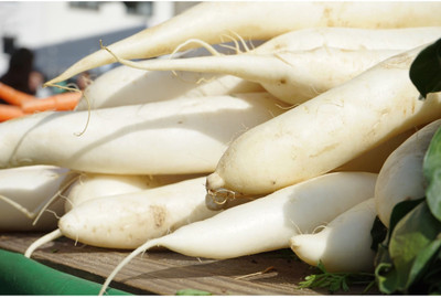 Avysa White Icicle Radish Seed(200 per packet)