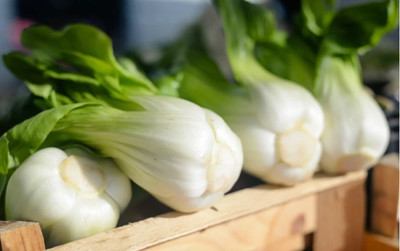 Atlus Pak-Choi Joi Choi Chinese cabbage Seed(50 per packet)