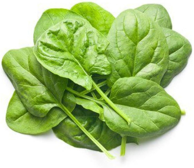 BDSresolve green spinach seeds/palak seeds 220 Seed(220 per packet)