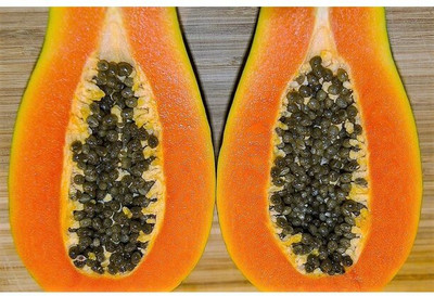 Corofitam Papaya Seeds Dwarf Variety Seed(20 per packet)
