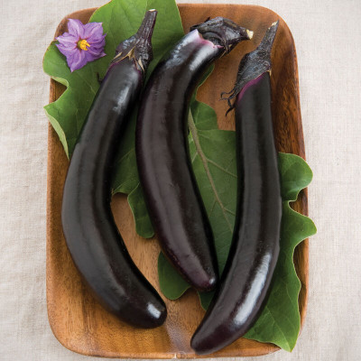 Arshiayat Black Brinjal All Season Seed(76 per packet)