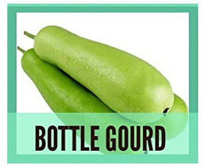 CYBEXIS Long Bottle Gourd200 Seeds Seed(200 per packet)