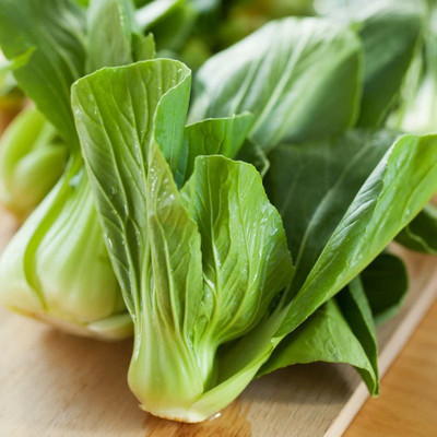 CYBEXIS Chinese Cabbage Pak Choi Seeds - Brassica chinensis500 Seeds Seed(500 per packet)