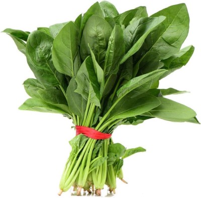 CYBEXIS Organic Spinach Seeds Fresh Green No Pollution1000 Seeds Seed(1000 per packet)