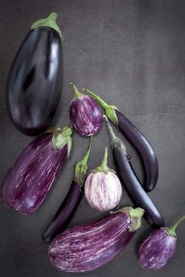 KNESSiN VIC-80 Brinjal Mix Seed Seed(500 per packet)