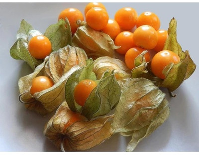 QALANDAR Cape Gooseberry Seeds Seed(20 per packet)