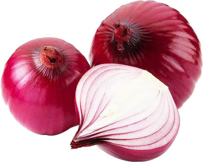 CYBEXIS Nasik Giant Red Onion Seeds 1000 Seeds Seed(1000 per packet)