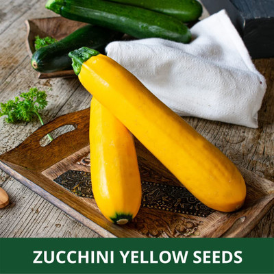 Qualtivate HYB-1A ZUCCHINI -YELLOW -SUMMER SQUASH Seed(30 per packet)