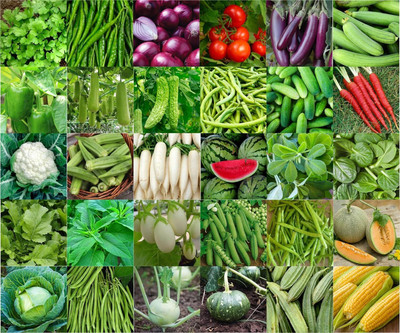 CRGO combo of 30 variety vegetable seeds with instruction manual. Seed(3200 per packet)