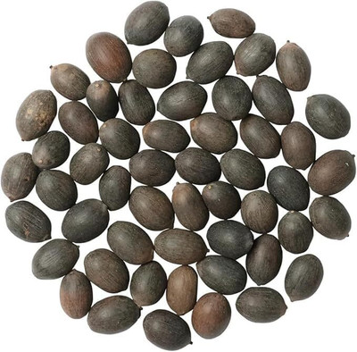UNYSEED Lotus, kamal Seed(100 per packet)