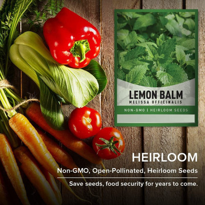CYBEXIS XL-12 - Lemon Balm Herb - (2250 Seeds) Seed(2250 per packet)