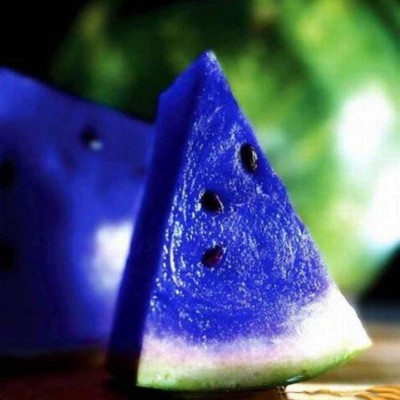 KNESSiN XI-4 Blue Watermelon Seed(50 per packet)