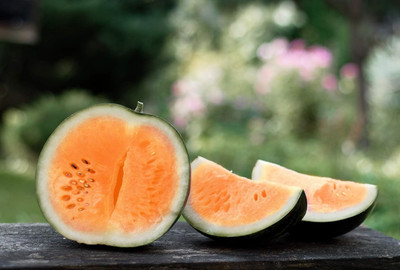 KNESSiN Hybrid Tendersweet Orange Watermelon Seeds For Kitchen Gardening-(100 Seeds) Seed(100 per packet)