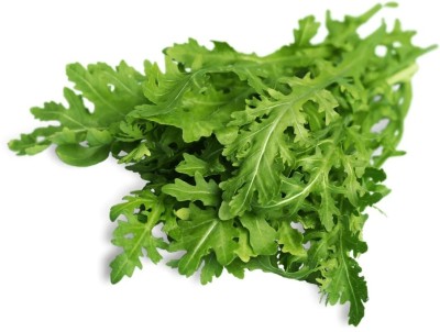 CEZIUS Arugula Organic Rocket Herb Seed(200 per packet)