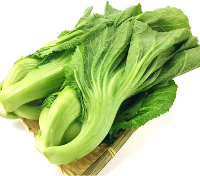 VibeX ® XLR-30 GAI Choi Chinese Mustard Cabbage Seed(500 per packet)