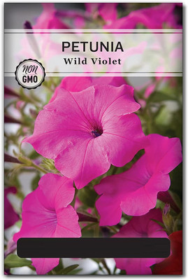 CYBEXIS LX-47 - Petunia Wild Violet Flower - (60 Seeds) Seed(60 per packet)