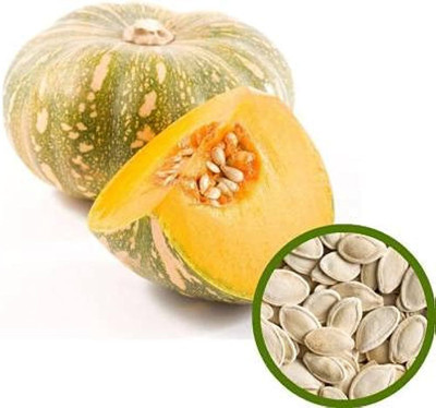 BDSresolve Pumpkin Styrian Skinless Organic Seed/pumpkin seed 21 Seed(21 per packet)
