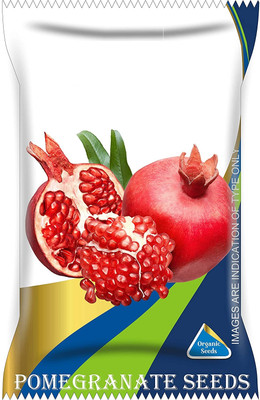Qualtivate LX-158 Fresh Pomegranate POM Wonderful Seeds Seed(25 per packet)